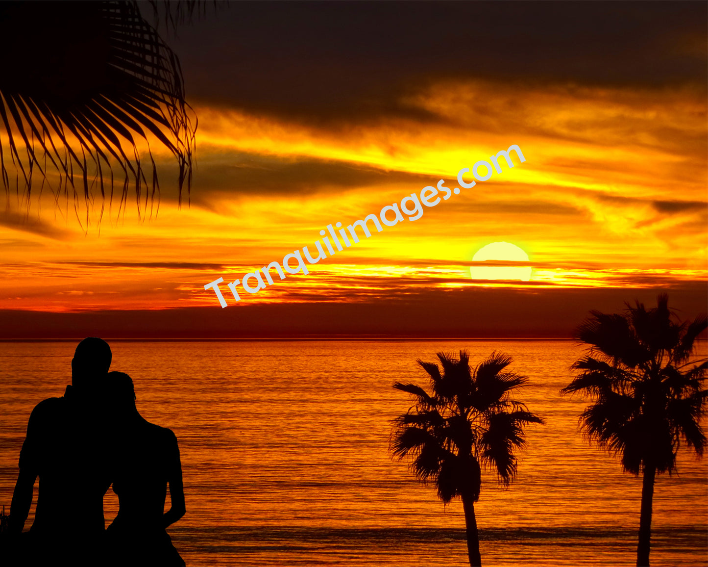 Dreamy Sunset (2 Sizes)