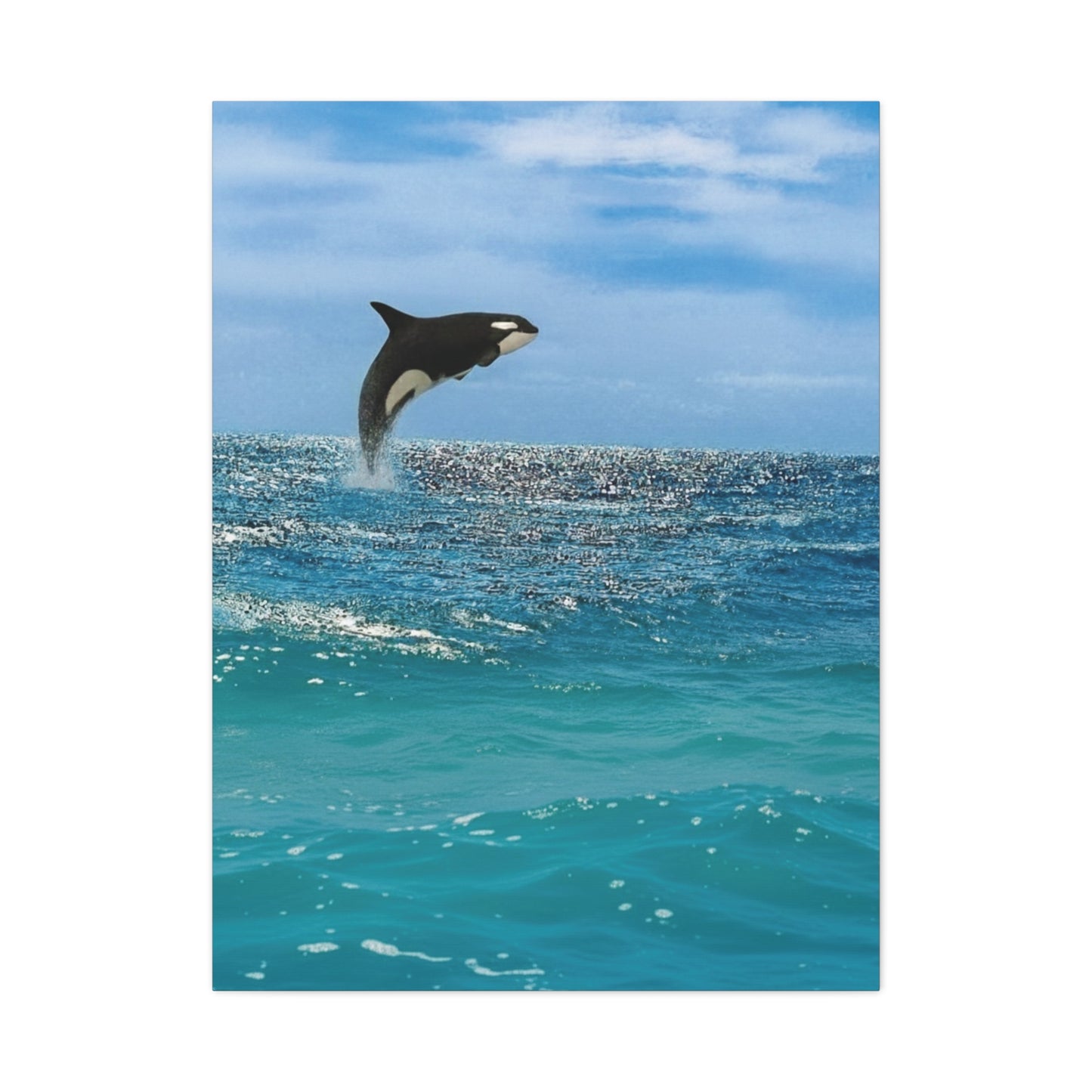 Orca Playing in Blue sunlit Coastal Ocean Canvas Wall Art