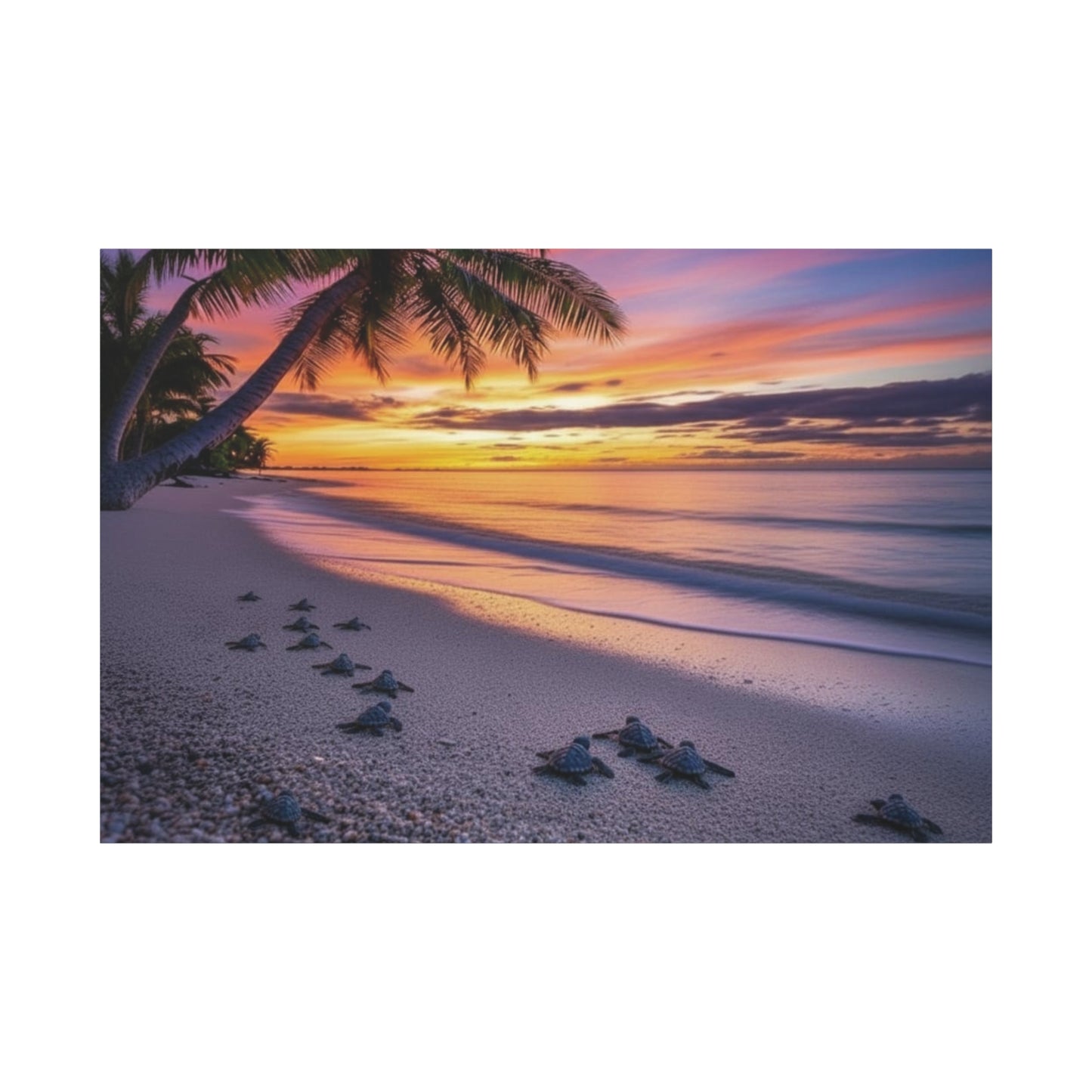 Sunset baby Turtles Canvas wall art - Nursery Beach Ocean