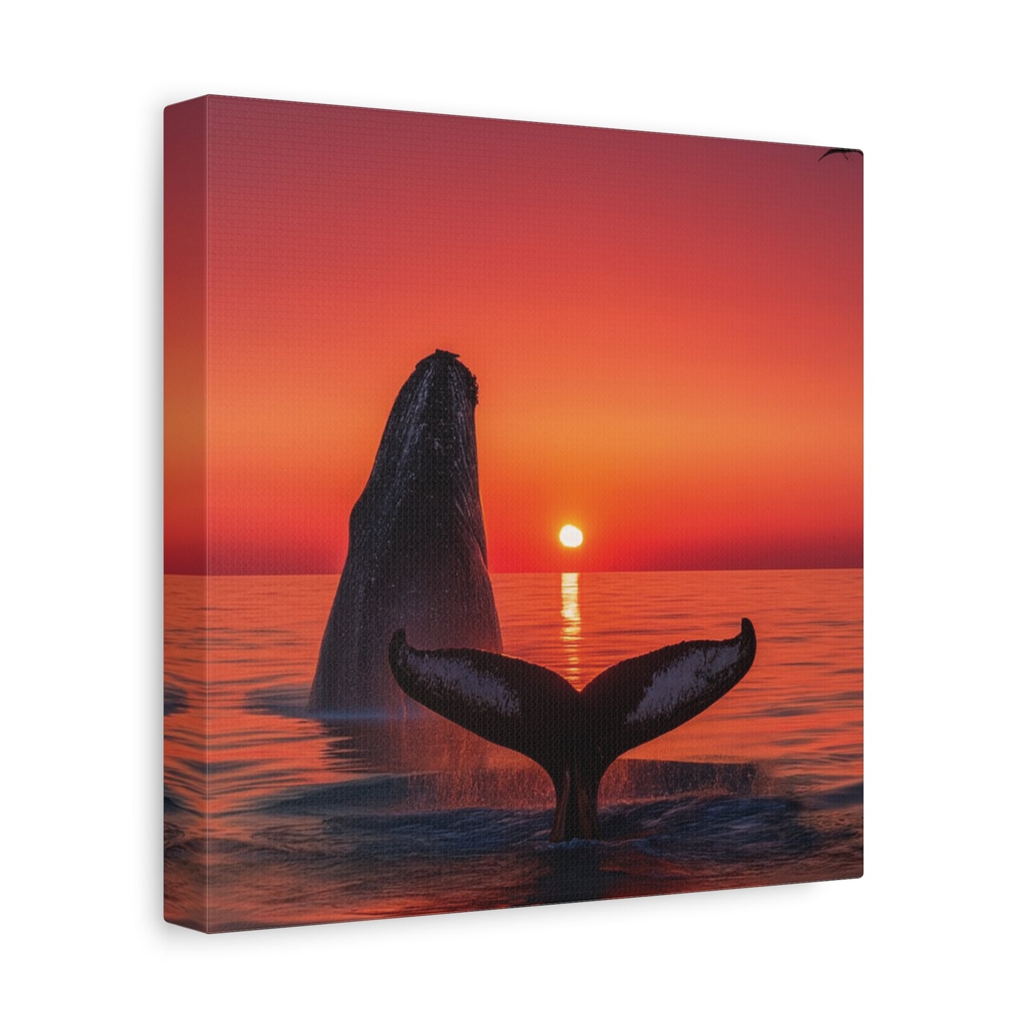 Humpback Whales Enjoying the Sunset Canvas Wall Art Print