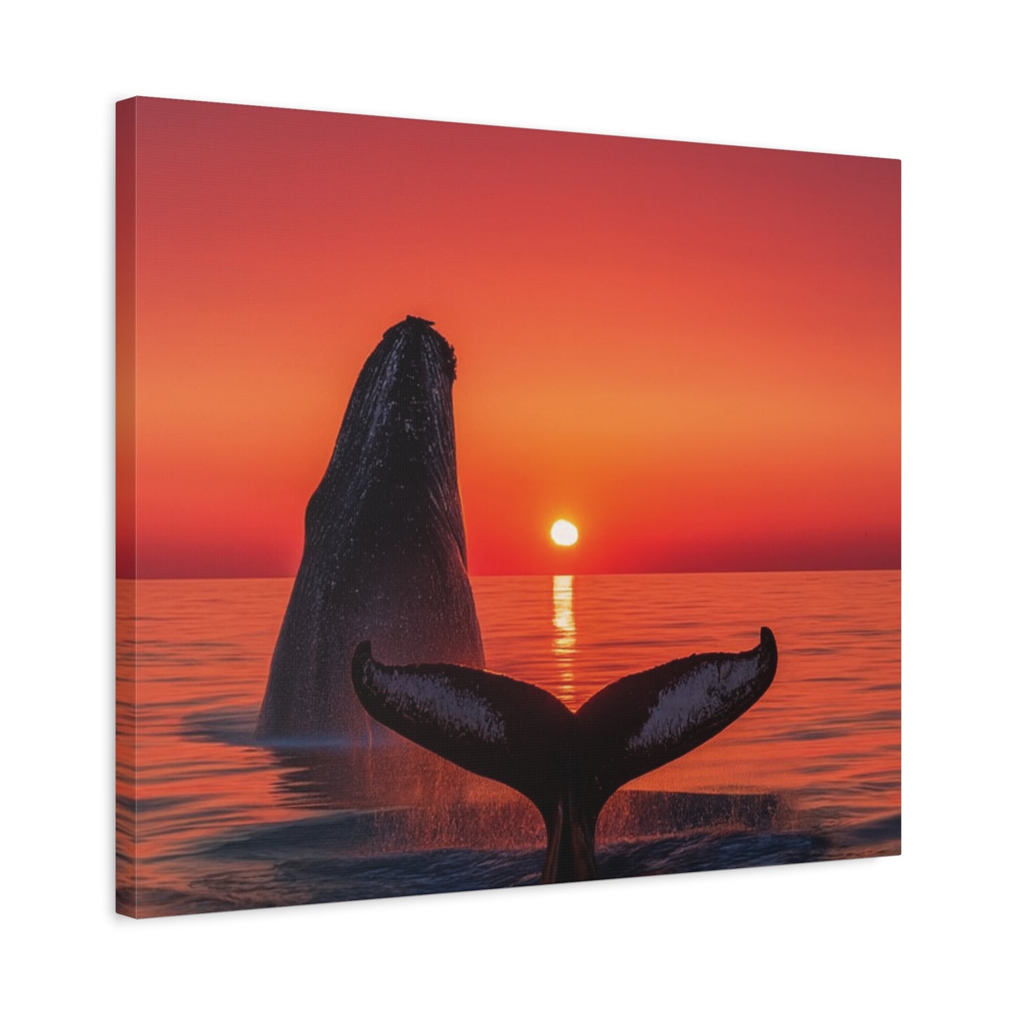 Humpback Whales Enjoying the Sunset Canvas Wall Art Print