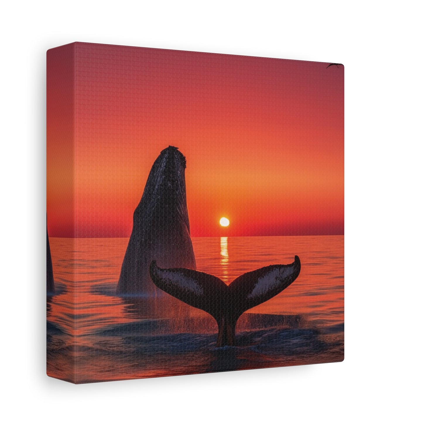 Humpback Whales Enjoying the Sunset Canvas Wall Art Print