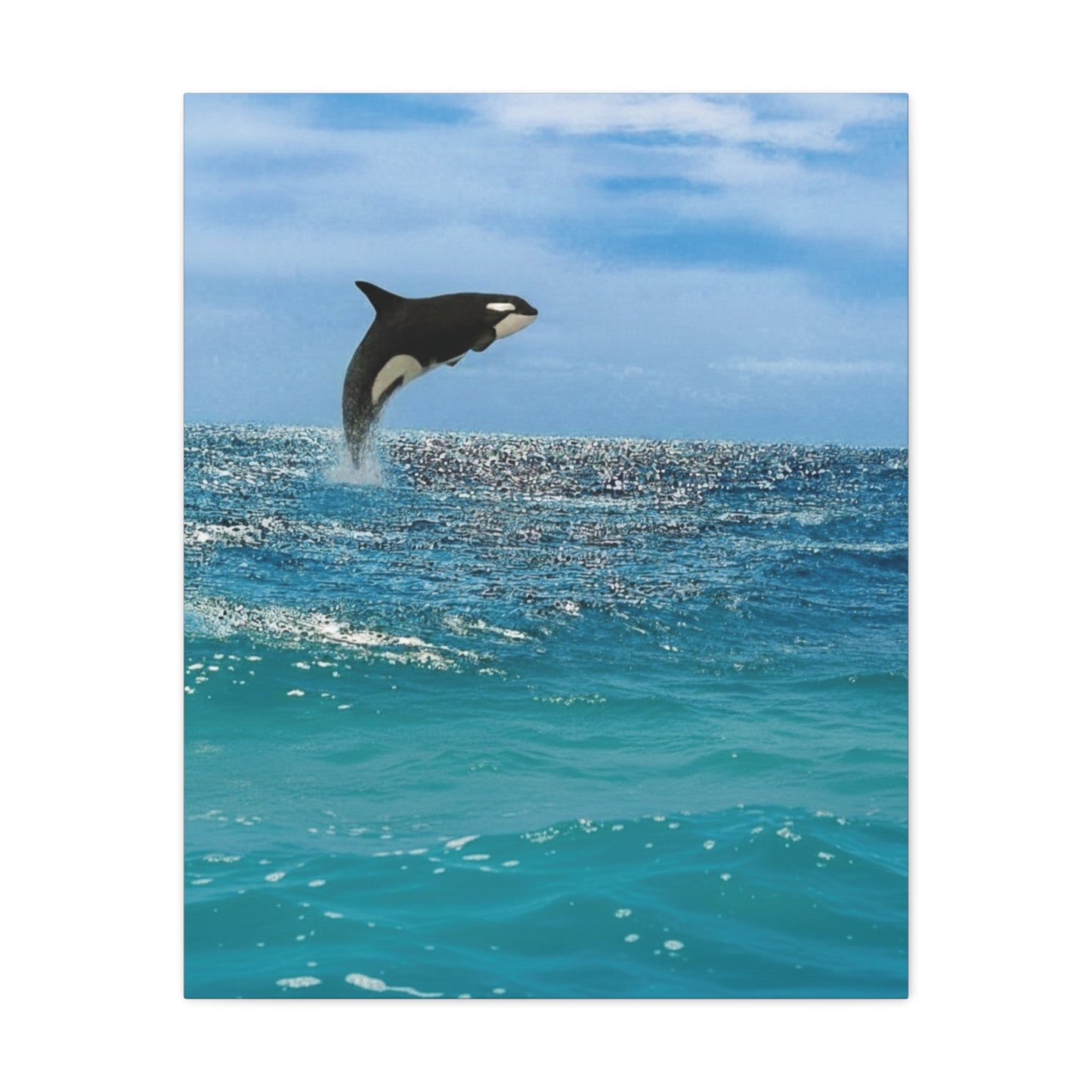 Orca Playing in Blue sunlit Coastal Ocean Canvas Wall Art