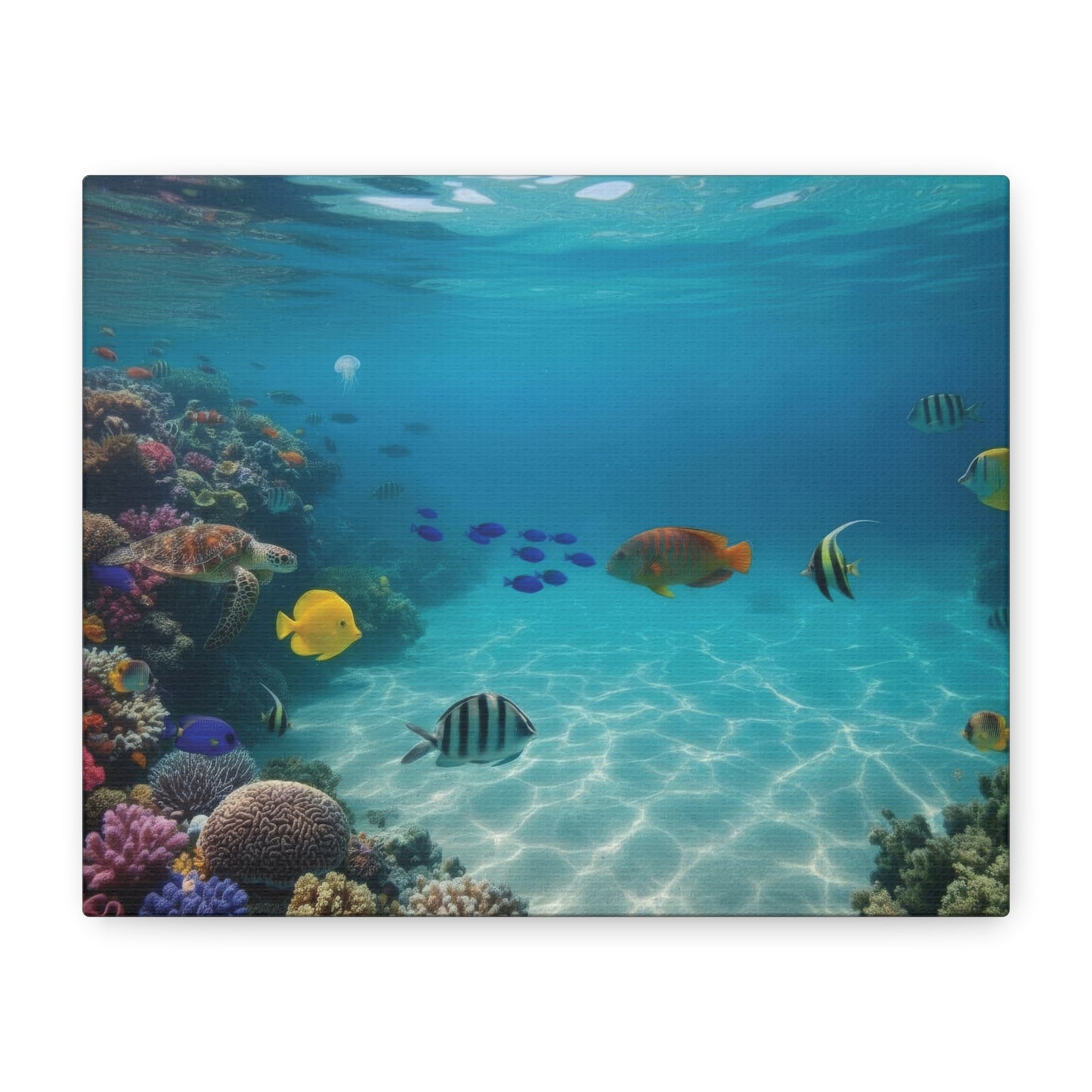 Underwater sea Life Canvas wall Art - Matte Print – Stretched 1.25"