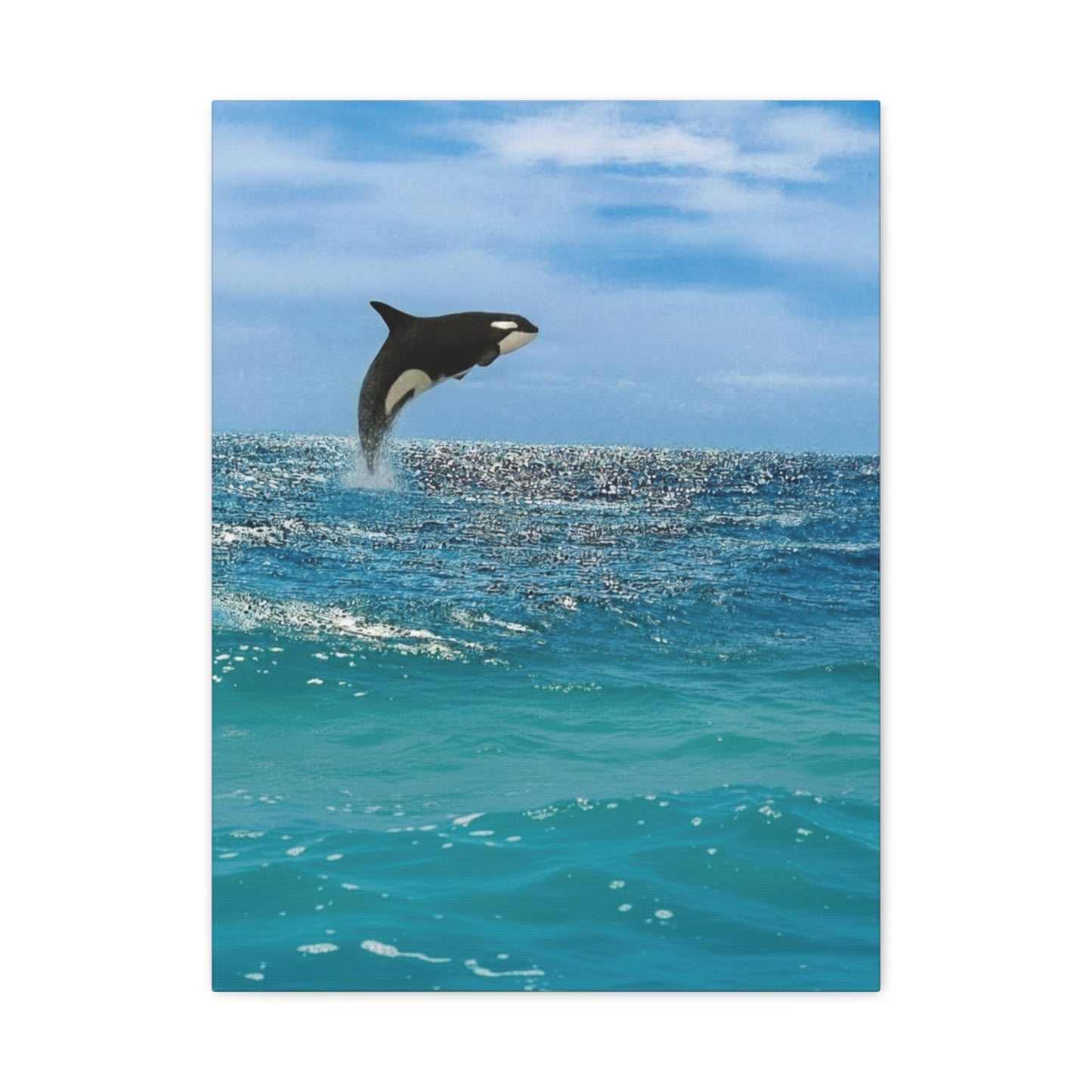 Orca Playing in Blue sunlit Coastal Ocean Canvas Wall Art
