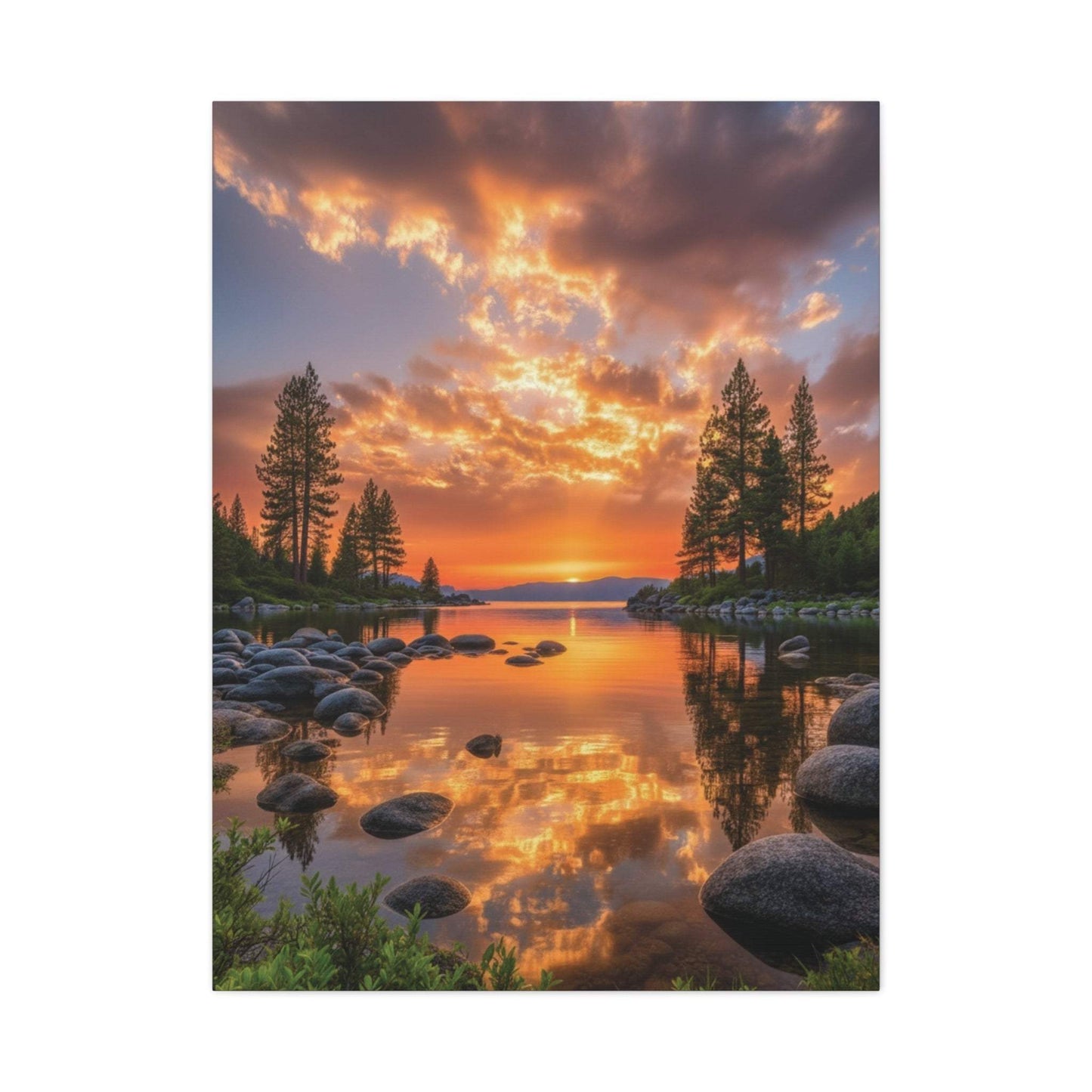 Canvas wall art featuring a vibrant sunrise through pine trees along a serene evergreen path with dewy ground and warm golden light