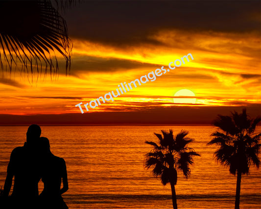 Dreamy Sunset (2 Sizes)